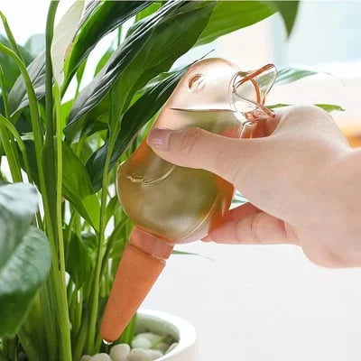 Goutte-à-goutte Automatique Birdie Pour Plantes