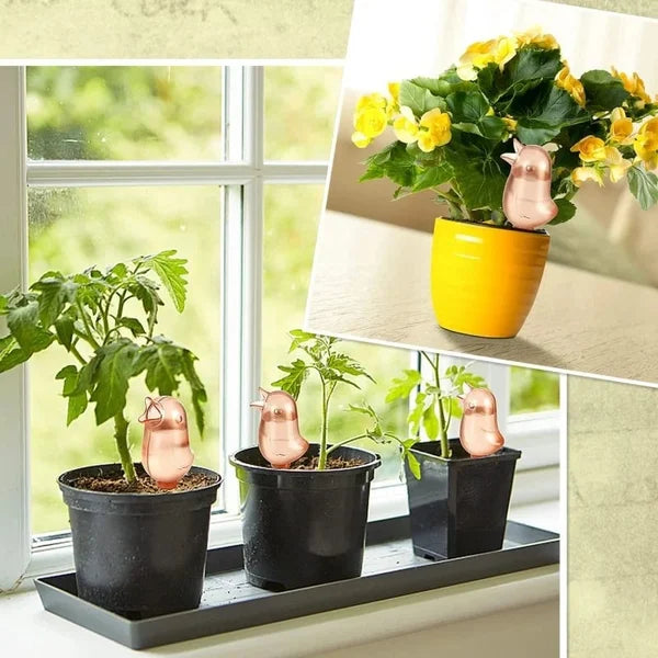 Goutte-à-goutte Automatique Birdie Pour Plantes