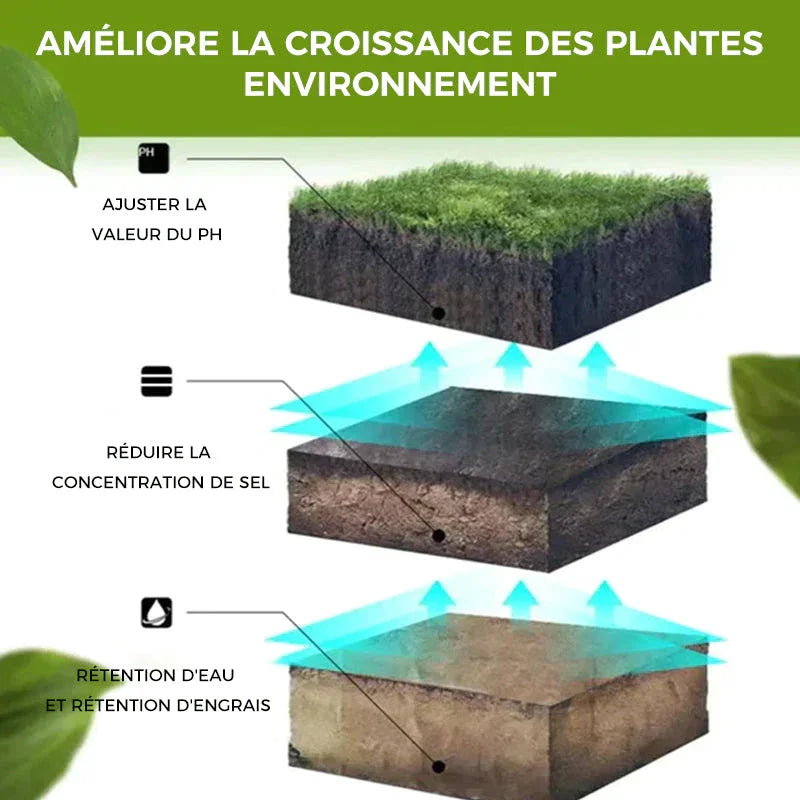 Achetez-en 2, obtenez-en 1 GRATUIT | Trésor activé par le sol - Vous serez étonné!