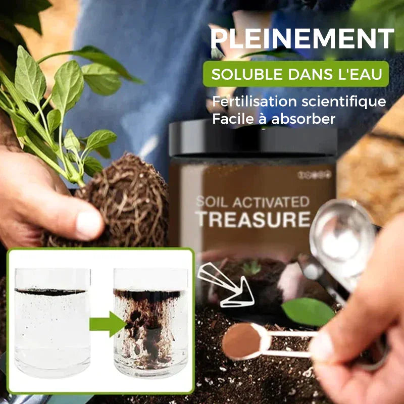 Achetez-en 2, obtenez-en 1 GRATUIT | Trésor activé par le sol - Vous serez étonné!