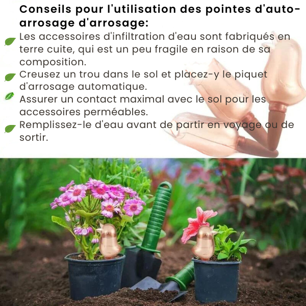 Goutte-à-goutte Automatique Birdie Pour Plantes