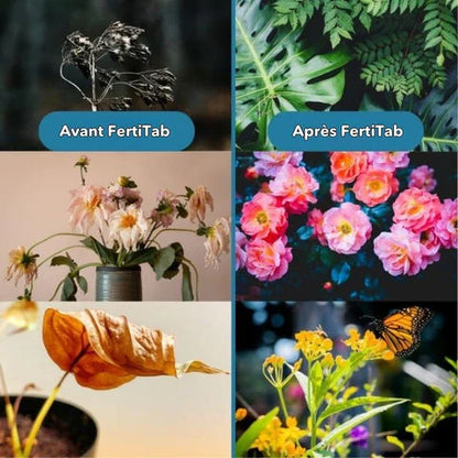 SoilBoost™ - Redonnez vie aux Plantes d'une manière écologique! [Achetez 1, obtenez 1 GRATUIT!]