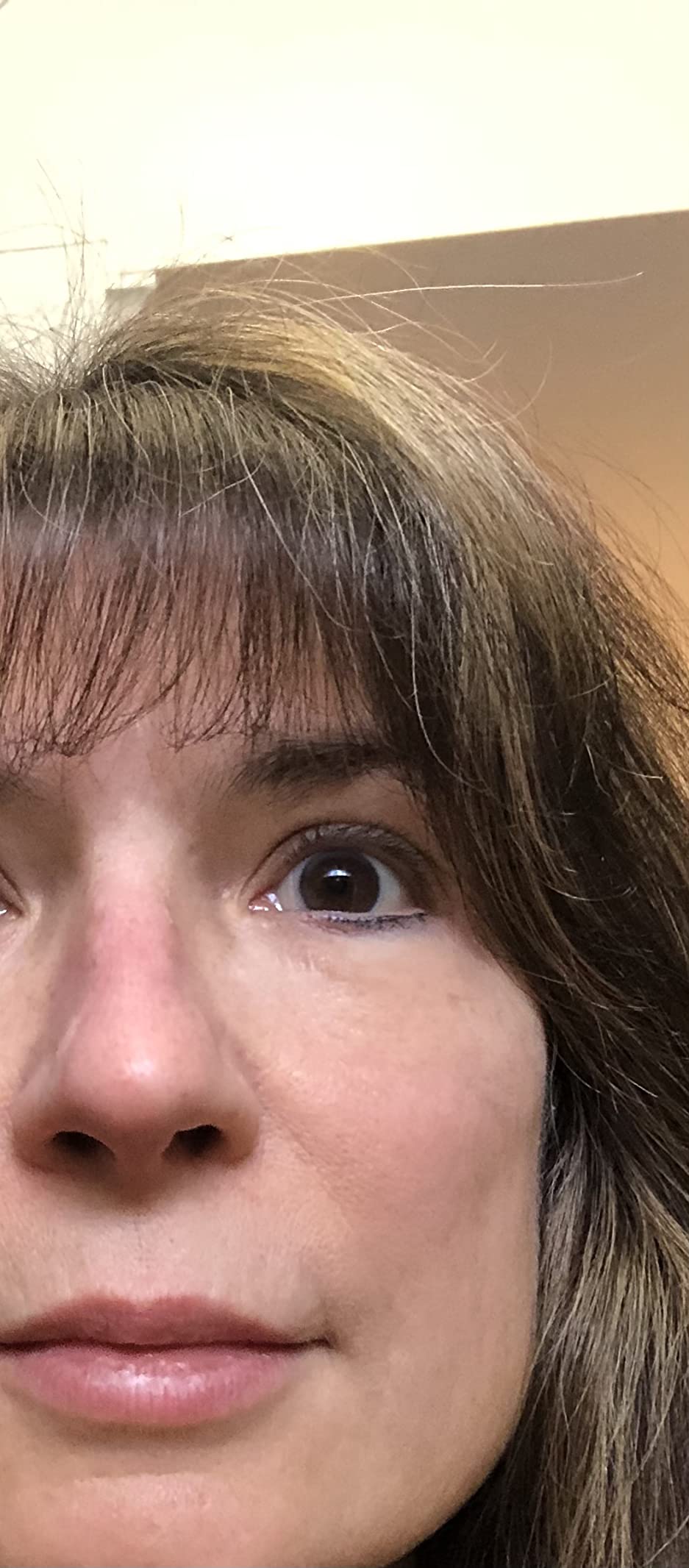 Gants de jardinage premium multifonctions