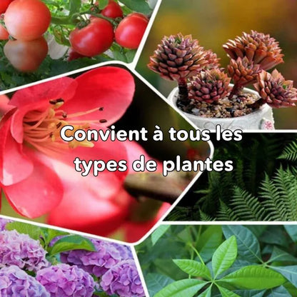 SoilBoost™ - Redonnez vie aux Plantes d'une manière écologique! [Achetez 1, obtenez 1 GRATUIT!]
