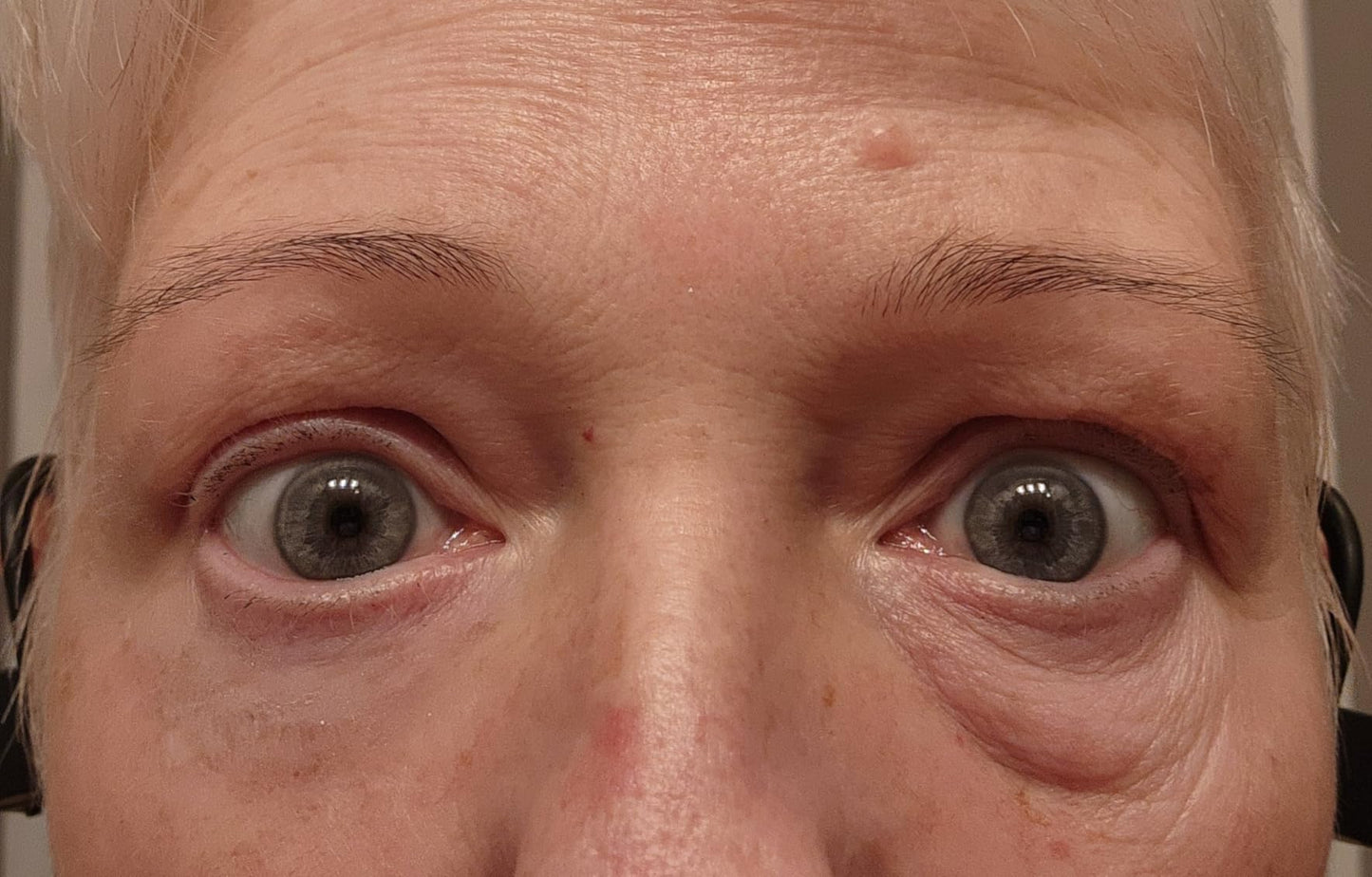 Gants de jardinage premium multifonctions