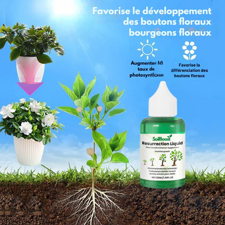 SoilBoost™ Liquide Résurrection des Plantes - Formule puissante et écologique pour redonner vie aux plantes ! [ACHETEZ 2, OBTENEZ 1 GRATUIT]