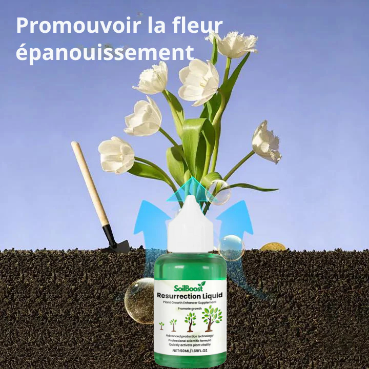 SoilBoost™ Liquide Résurrection des Plantes - Formule puissante et écologique pour redonner vie aux plantes ! [ACHETEZ 2, OBTENEZ 1 GRATUIT]