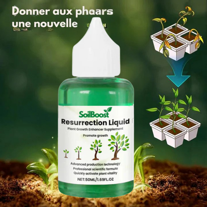 SoilBoost™ Liquide Résurrection des Plantes - Formule puissante et écologique pour redonner vie aux plantes ! [ACHETEZ 2, OBTENEZ 1 GRATUIT]