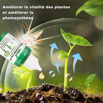 SoilBoost™ Liquide Résurrection des Plantes - Formule puissante et écologique pour redonner vie aux plantes ! [ACHETEZ 2, OBTENEZ 1 GRATUIT]