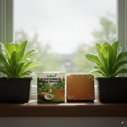 CocoBrick™ - Coir de noix de coco biologique pour les plantes [2+1 GRATUIT !]