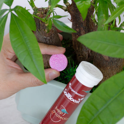 SoilBoost™ - Redonnez vie aux Plantes d'une manière écologique! [Achetez 1, obtenez 1 GRATUIT!]