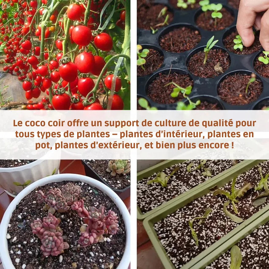 CocoBrick™ - Coir de noix de coco biologique pour les plantes [2+1 GRATUIT !]
