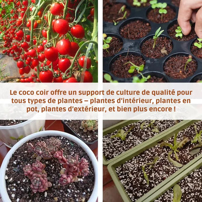 CocoBrick™ - Coir de noix de coco biologique pour les plantes [2+1 GRATUIT !]