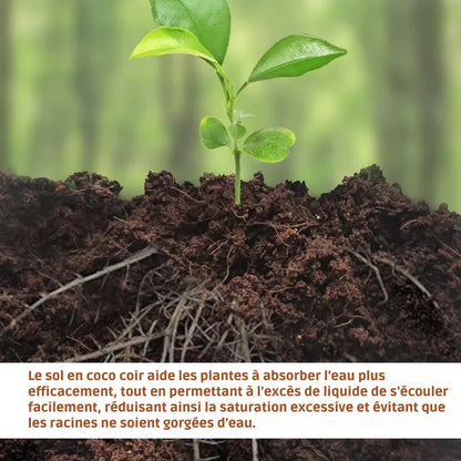 CocoBrick™ - Coir de noix de coco biologique pour les plantes [2+1 GRATUIT !]