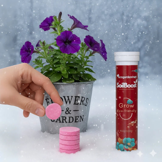 SoilBoost™ Engrais Hivernal pour Plantes | Garde vos plantes saines et florissantes tout l’hiver