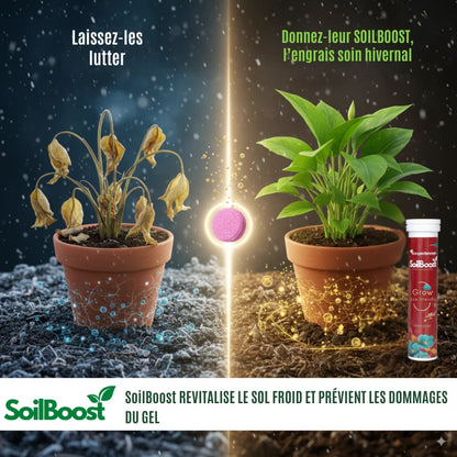 SoilBoost™ Engrais Hivernal pour Plantes | Garde vos plantes saines et florissantes tout l’hiver