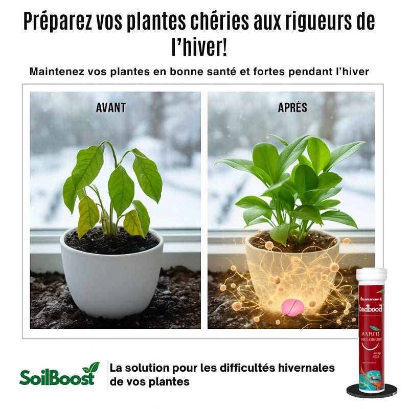 SoilBoost™ Engrais Hivernal pour Plantes | Garde vos plantes saines et florissantes tout l’hiver