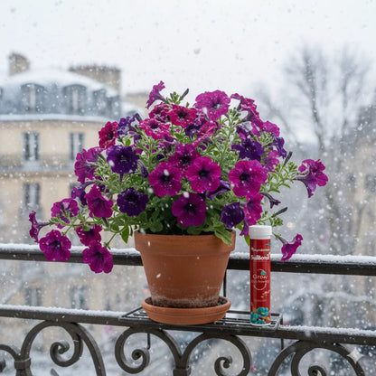 SoilBoost™ Engrais Hivernal pour Plantes | Garde vos plantes saines et florissantes tout l’hiver