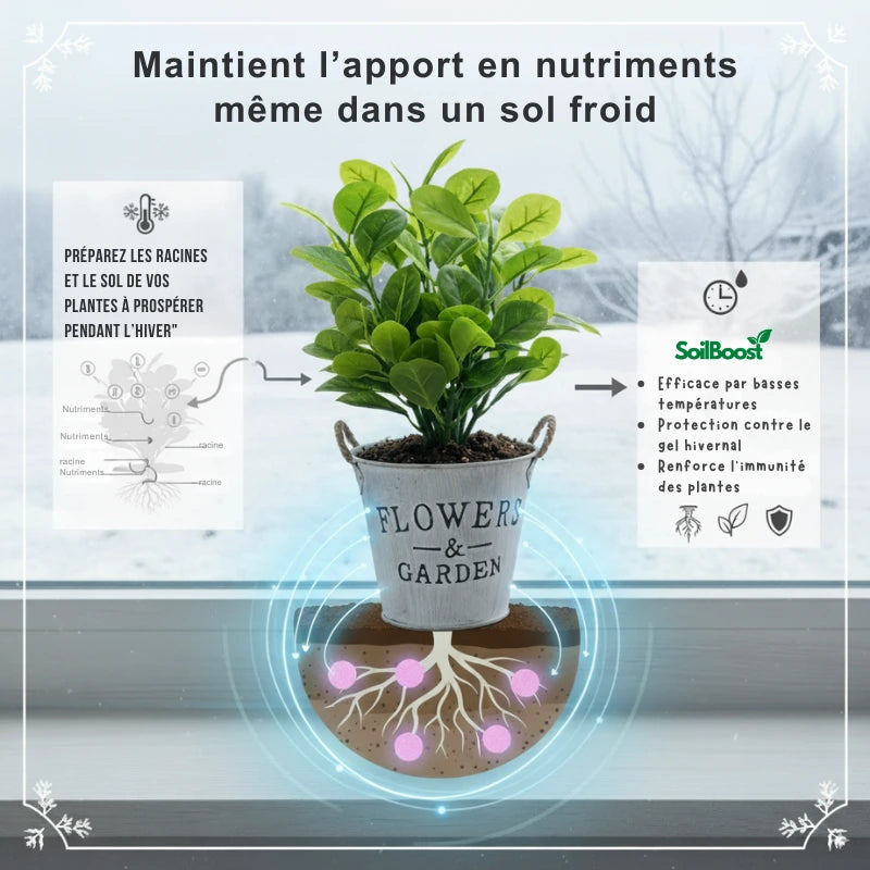 SoilBoost™ Engrais Hivernal pour Plantes | Garde vos plantes saines et florissantes tout l’hiver