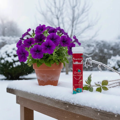 SoilBoost™ Engrais Hivernal pour Plantes | Garde vos plantes saines et florissantes tout l’hiver