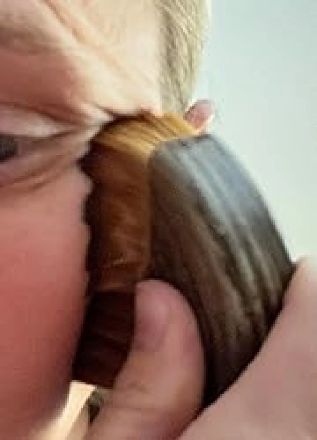 Gants de jardinage premium multifonctions