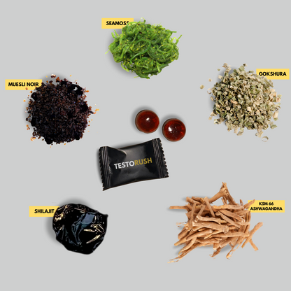 SOILBOOST TESTORUSH | Votre boost quotidien de testostérone