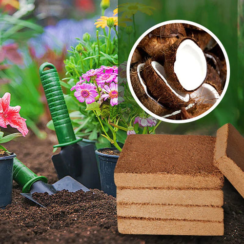 CocoBrick™ - Coir de noix de coco biologique pour les plantes [2+1 GRATUIT !]