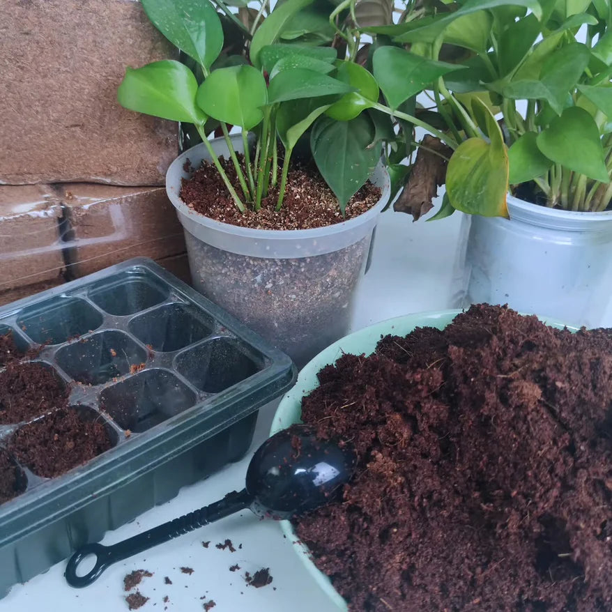 CocoBrick™ - Coir de noix de coco biologique pour les plantes [2+1 GRATUIT !]