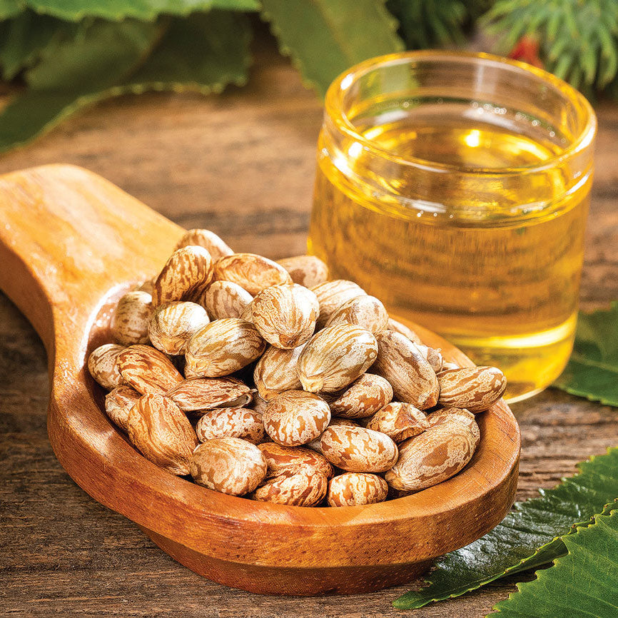 SoilBoost™ Sérum contour des yeux à l'huile de ricin – Traitement anti-cernes et anti-poches