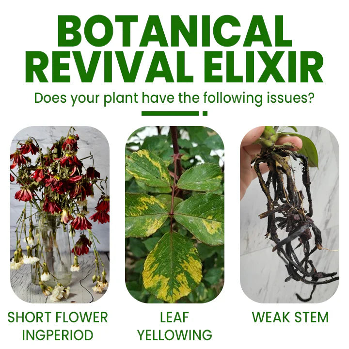 SoilBoost™ Botanical Plant Elixir