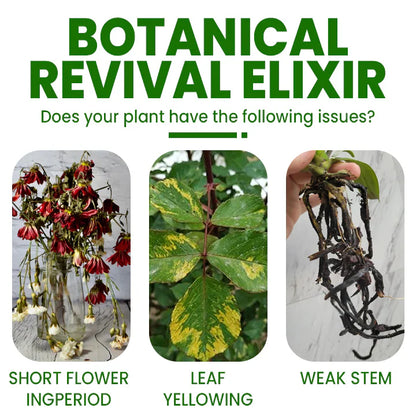 SoilBoost™ Botanical Plant Elixir