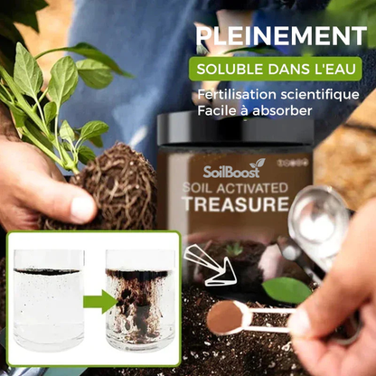 Trésor activé par le sol - Vous serez étonné! | Achetez-en 2, obtenez-en 1 GRATUIT