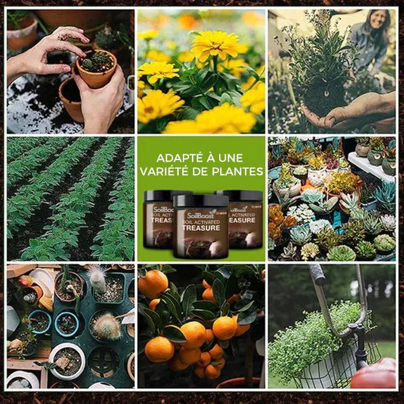 Trésor activé par le sol - Vous serez étonné! | Achetez-en 2, obtenez-en 1 GRATUIT