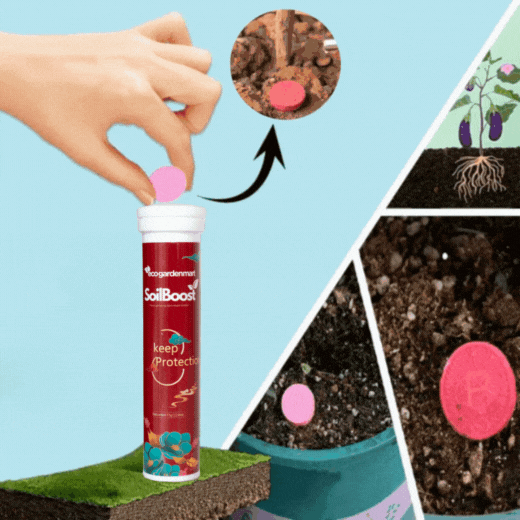 SoilBoost™ - Redonnez vie aux Plantes d'une manière écologique! [Achetez 1, obtenez 1 GRATUIT!]