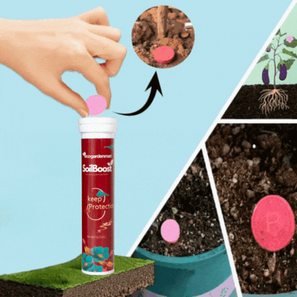 SoilBoost™ - Redonnez vie aux Plantes d'une manière écologique! [Achetez 1, obtenez 1 GRATUIT!]